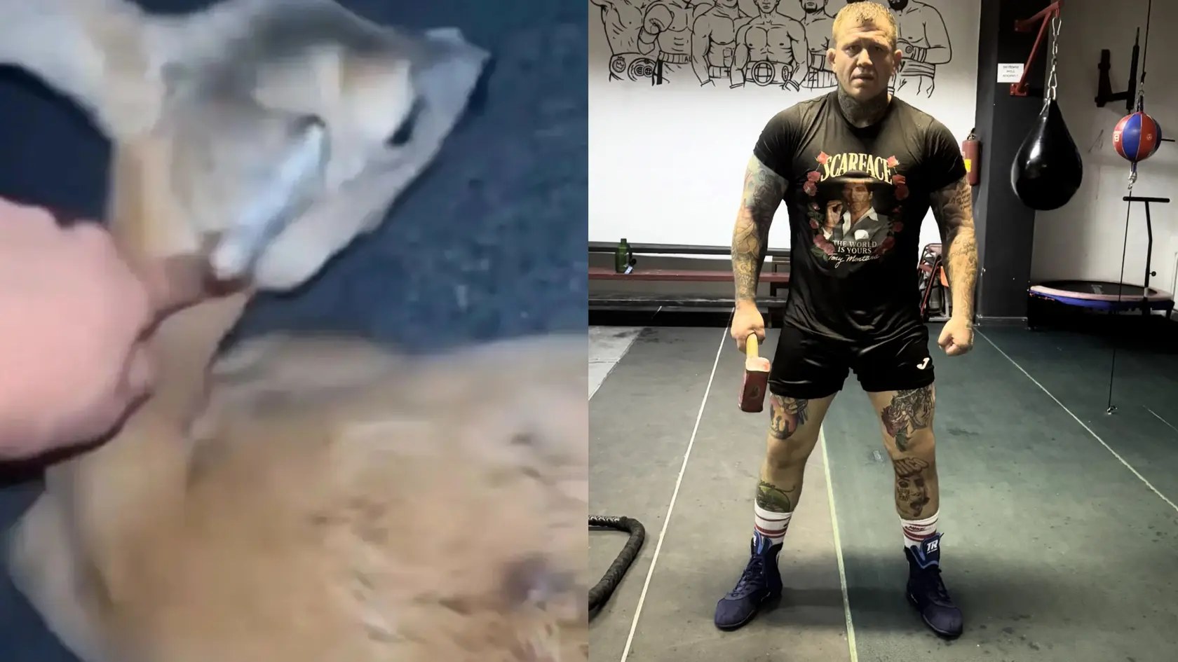 Český MMA bojovník Vašek Mikulášek sa chce pomstiť slovenským mladíkom, ktorí týrali zranenú srnku.